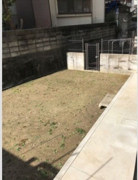 庭
