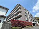 ミュゼ小池の間取り画像