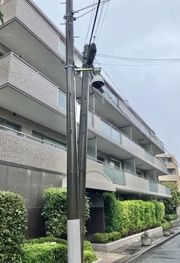 大井仙台坂パークハウスの外観画像