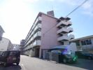花園マンション巽の外観