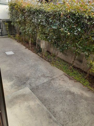 庭