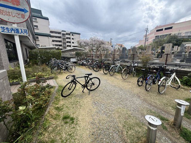庭