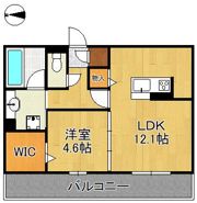 D-ROOM中原東IIの間取り画像
