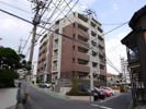 フェリーチェ中井けやき通りの間取り画像