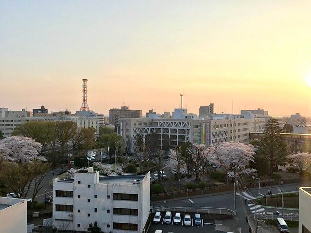 眺望