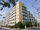 willDo清澄の間取り画像