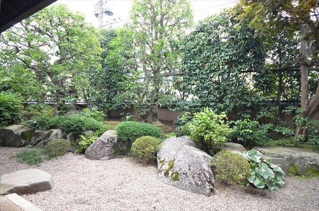 庭