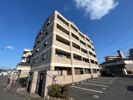 ローズ・フェアリーIIの外観