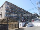 チュリス石山の間取り画像