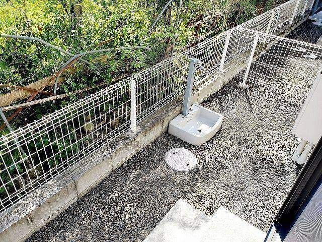 庭
