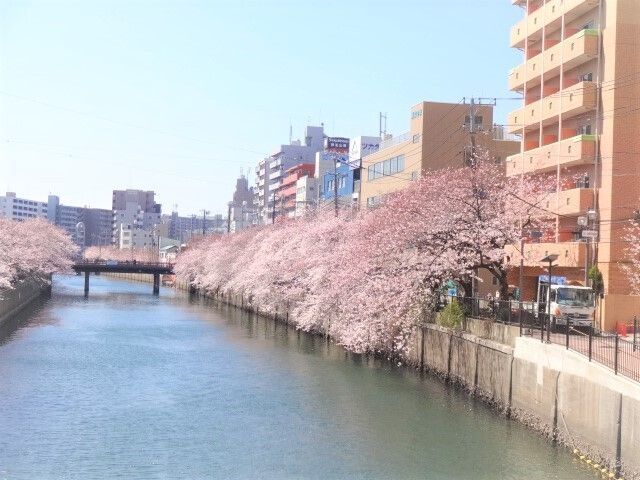 近くに施設あり