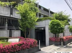 ステラメゾン下北沢の外観画像