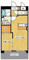 Amitieの間取り画像