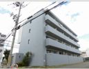 フロンティア中川の間取り画像