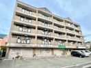 ビエンフェオークラの間取り画像