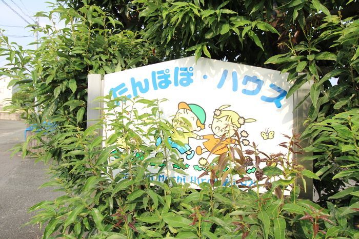 庭