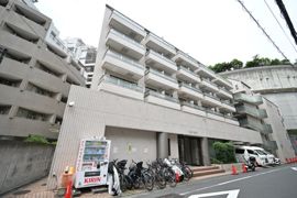 フラッツ大橋の外観画像