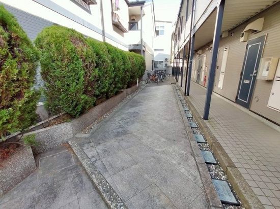 庭