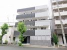 MP Tsukamoto Fioreの間取り画像