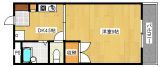 カサプエルトの間取り画像