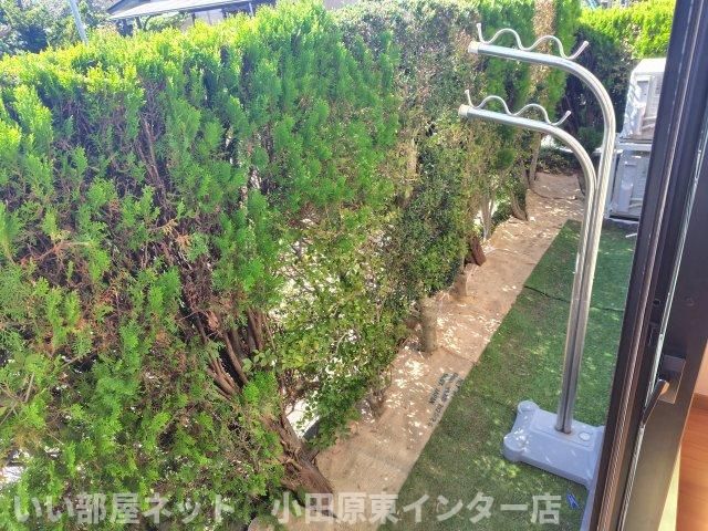 庭
