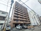 Monstera（モンステラ）の外観