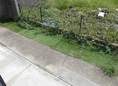 庭