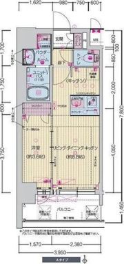 プレサンス千種駅前レイズの間取り画像