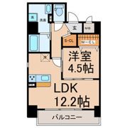 Shibata Palace Ⅷの間取り画像