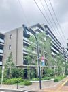 プラウドシティ国立の間取り画像