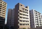 グレースビュウ国府台の間取り画像