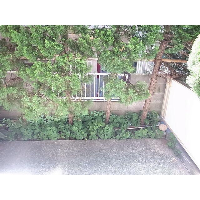 庭
