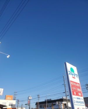 ドラッグスギヤマ千代田店（ドラッグストア）まで730m