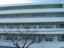 カーサ西山町の間取り画像