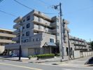 サンフラットむさしのの間取り画像