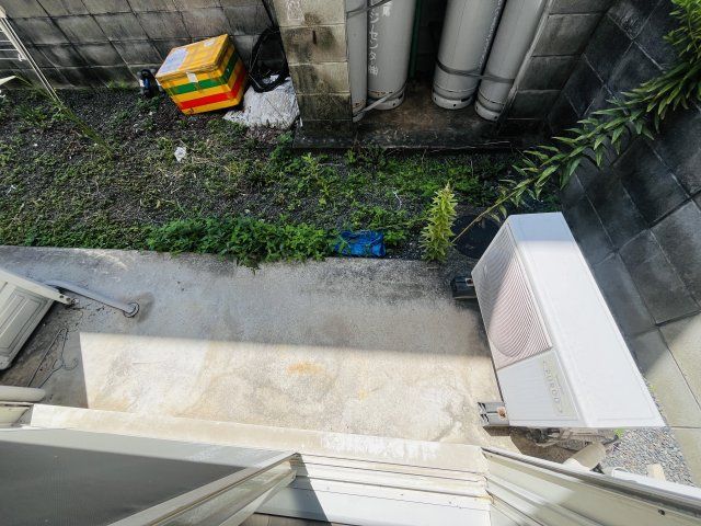 庭