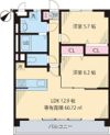 Ever Greenの間取り画像