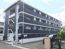 グランテラス柏木の間取り画像