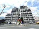 エムズコート沼本町の間取り画像