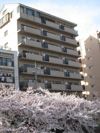 バイムフルス白金Ⅰの間取り画像