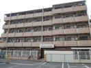日神パレステージひばりヶ丘の間取り画像