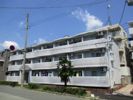 シャトラン弓木壱番館の外観