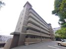 日恵コーポの間取り画像