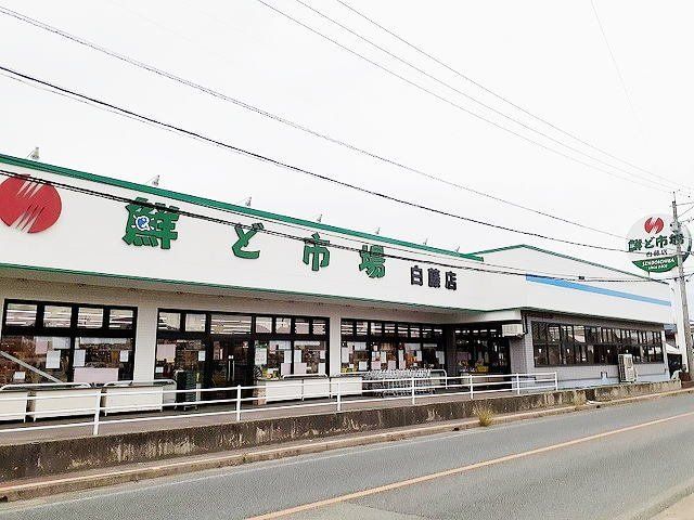 鮮ど市場白藤店まで1000m