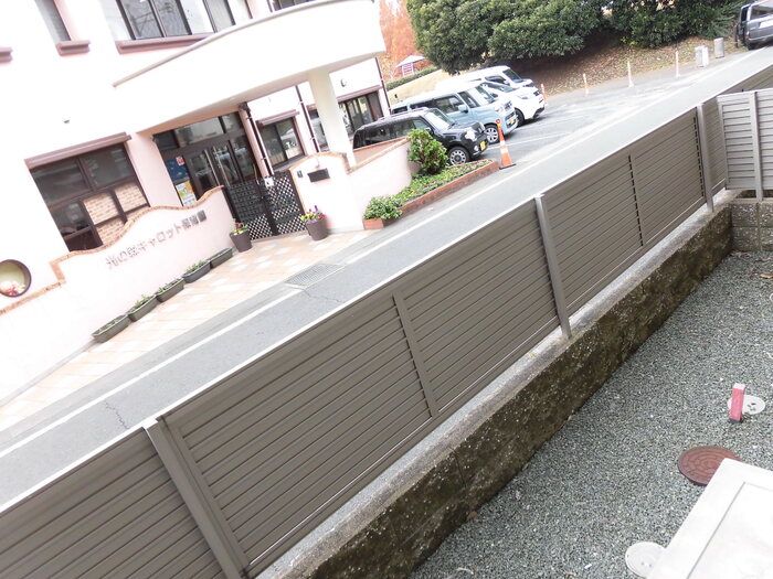 庭