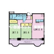 コンフォール シェルの間取り画像