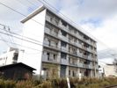 堂形マンションの間取り画像