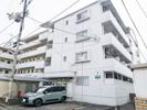 メゾン中村5の間取り画像