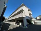 マイン東高須の間取り画像