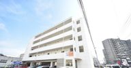 エレガンス野田の間取り画像